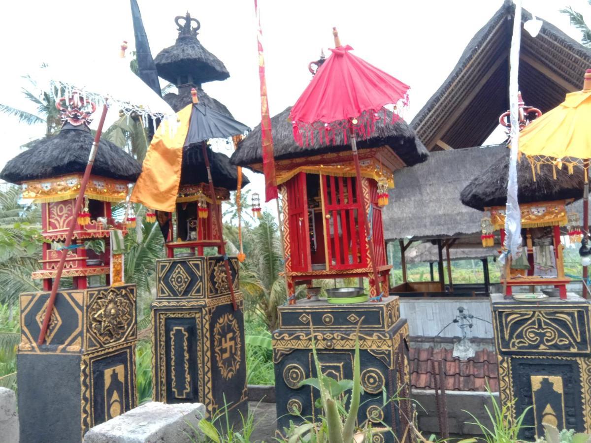 Pondok Diana Arta Jasri Bagian luar foto