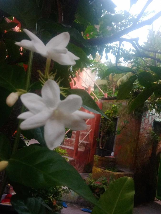 Pondok Diana Arta Jasri Bagian luar foto