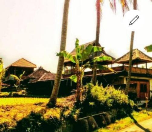 Pondok Diana Arta Jasri Bagian luar foto