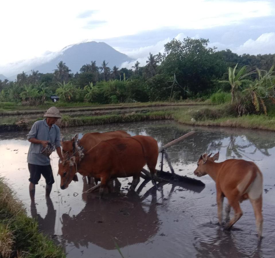 Pondok Diana Arta Jasri Ruang foto